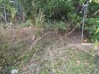 10 Perches Land for Sale in Kalutara, Kithulawa