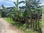 10 Perches Land for Sale in Kapuwatta, Ja-Ela
