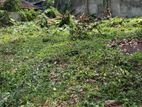 10 Perches Land For Sale in Pelawatte-Battaramulla (SSPL-389)