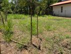 10 Perches Land for Sale in Piliyandala D/L0003
