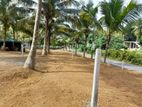 10 Perches - Land For Sale Udumulla