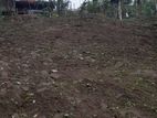 10 Perches Land Near Kandy City