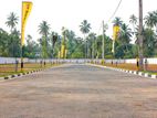 10 Perches Lands for In Minuwangoda