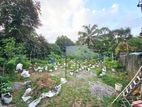 10 Perches Residential Bare Land For Sale Hokandara