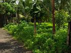 10 ph Bare Land For Sale in Attidiya, Dehiwala