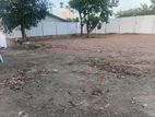10 ph land for sale in Boralesgamuwa