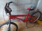 10 Years Old Can Ride Bicycle