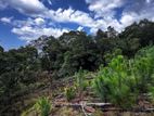 100 Acres Land for Sale in Lunugala