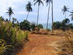 100 P Beach Facing Land Sale At Hiriketiya Dickwella