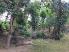 100 P Land for Sale in Yakkala
