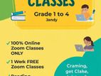 Online - Tamil with English Tuition Grade 1 to 4 All Sri Lanka