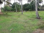 100 perch Resident / Commercial Land for sale- Katunayaka