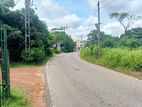 100 Perched Highly Residence Land for Sale