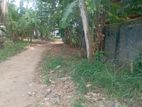 100 perches Land for sale in Amandoluwa,Seeduwa.Gampaha.