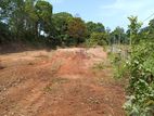 100 Perches Land for Sale in Panadura