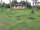 100+ Perches Land with a House for Sale at Katunayaka