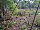 100 Perches Residential Land Sale Jaffna