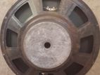 Coil Speaker