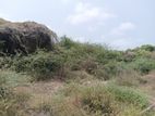 Land for Sale in Mannar