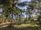 100P Coconut Land for Sale - Wariyapola, Mamunuwa