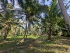 100P Coconut Land - Wariyapola, Mamunuwa