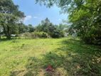 10.15P Bare Land for Sale in Kotte