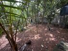 10.24 Perch Land For Sale Near Pliyandala Bolgoda Lake