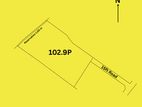 102.9P Property in Ranala, Kaduwela - A Peaceful Escape Close to Colombo