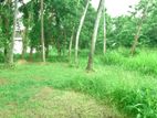 103 Perches Bare Land for Sale in Nugegoda Bz519