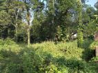 103 Perches Land available for Sale in Wataddara, Veyangoda