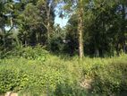 103 Perches Land available for Sale in Wataddara, Veyangoda.