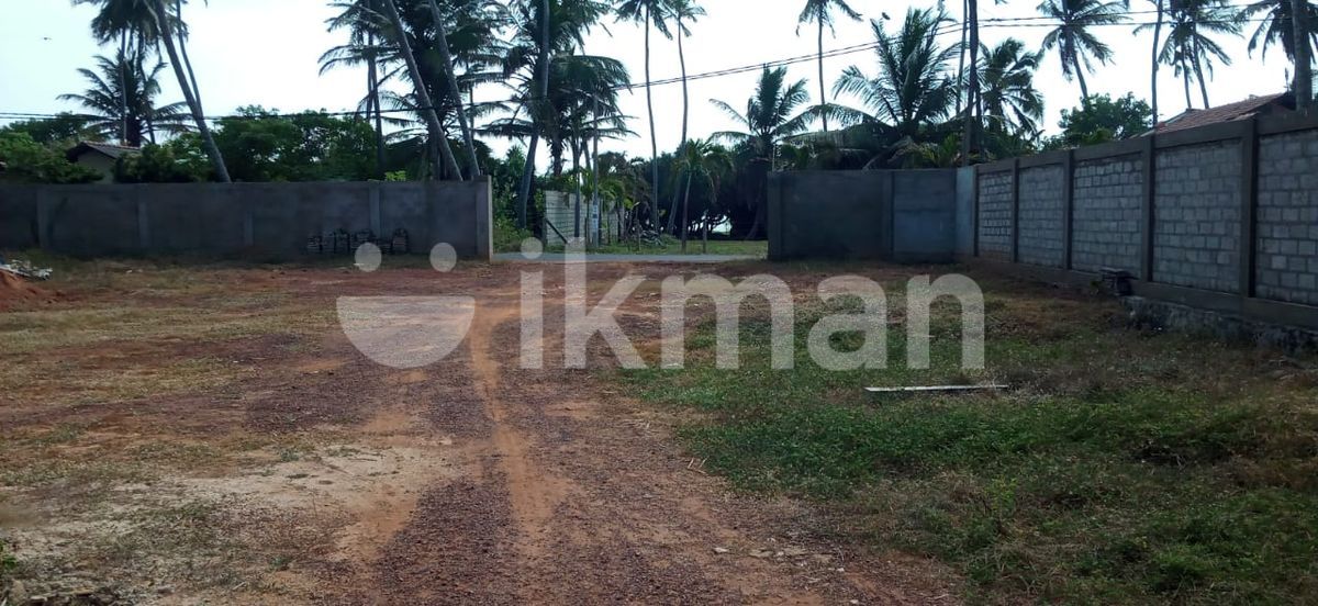 103.30P Land for Sale in Beach Road, Nainamadama (SL 13869) ikman