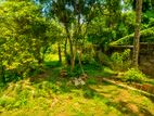 10.35 Perches Land for Sale in Nawagamuwa (SSPL-497)