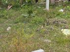 Land for Sale Batticaloa