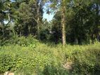 103P Land available for Sale in Wataddara, Veyangoda.
