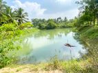 10.5 Acres Land For Sale In Puttalam Town