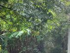 Land for Sale – Kothalawala