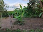 10.5 P Bare Land for Sale in Baddagana Kotte