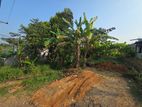 10.5 P Residential Bare Land For Sale In Artigala