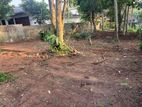 10.5 Perch Land for Sale in Pannipitiya