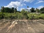 10.5 Perch Residential Plot for Sale in Ja-Ela, Udammita