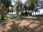 105 Perches Beach Front Land for Sale at Payagala North