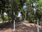 10.5 Perches Land For Sale - Gampaha
