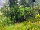 105 perches land For Sale in Pussella (SSPL-467)