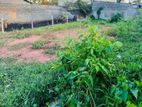 10.5 perches land sale in Negombo,kurana