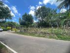 10.50P Bare Land For Sale In Jayaliyagama