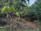 10.7 Perch Bare Land for Sale in Arangala, Malabe