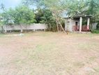 Land for Sale - Panadura