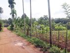 108 Perches Land Near Colombo–Horana Road