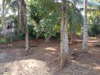 10.85P Land for sale in off Malwatte Rd, Hokandara (SL 13174)